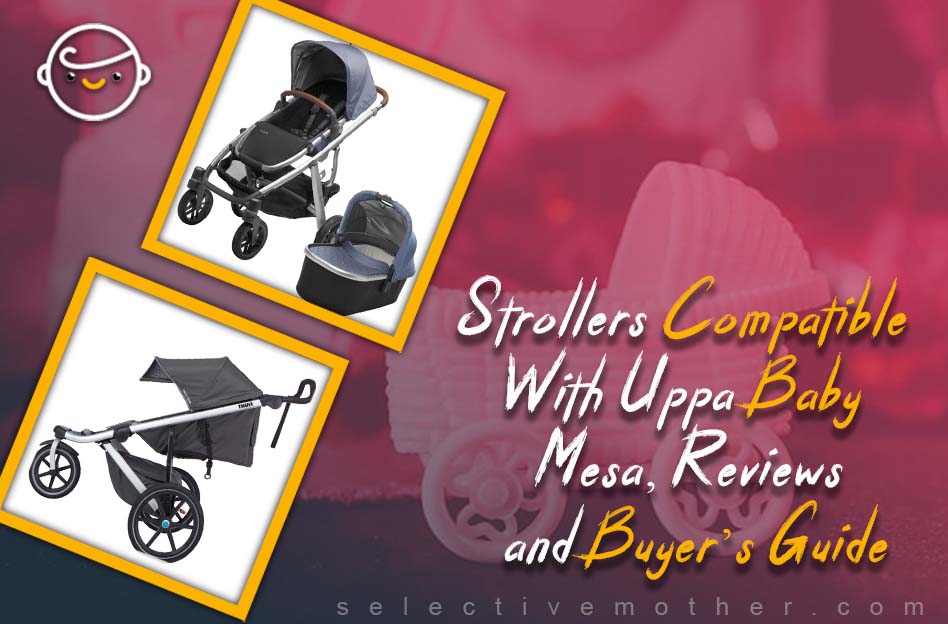 Strollers Compatible with Uppa Baby Mesa, Reviews